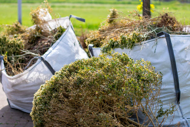 Best Hoarding Cleanup  in Tacoma, WA